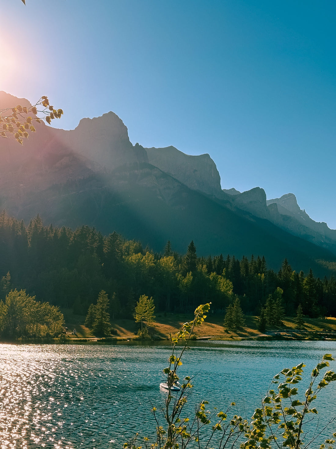 7 Omega-3 Benefits: How EPA and DHA Support Everyday Wellness