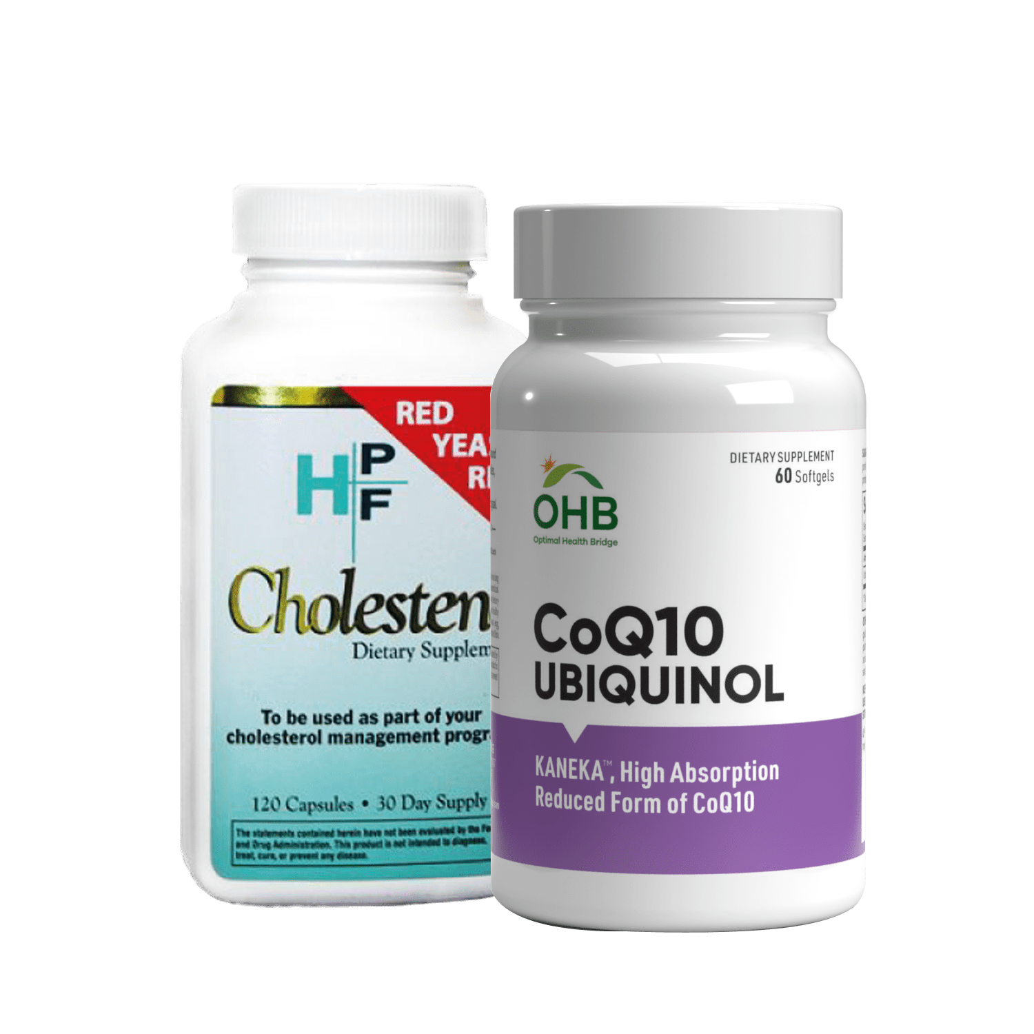 Cholesterol Buster Supplement