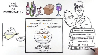 EpiCor Immune Support Benefits